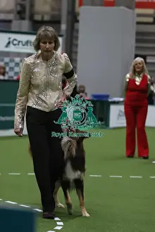 Dog Obedience Championships - Debbie Giddens & Jezzaddy Its One Look, Crufts 2026<br> Dog Obedience Championships - Debbie Giddens & Jezzaddy Its One Look, Crufts 2026
