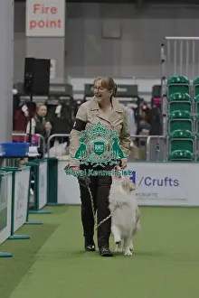 Dog Obedience Championships Parade - Michelle Richmond & Ob Ch Caldonbeck Perfect Storm, Crufts 2026<br> Dog Obedience Championships Parade
