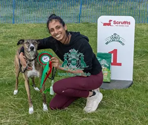 North East Dog Festival 2024 Prints: Dog Name Ollie Scruffts Heats Scruffts Family Crossbreed Of The Year Competition