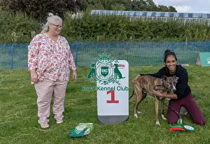 North East Dog Festival 2024 Prints: Dog Name Ollie Scruffts Heats Scruffts Family Crossbreed Of The Year Competition