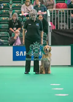 Dog sitting with handler