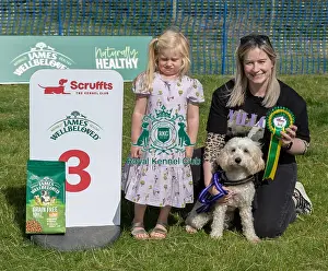 North East Dog Festival 2024 Prints: Dog Name Willow Scruffts Heats Scruffts Family Crossbreed Of The Year Competition
