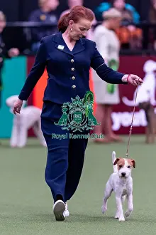 Ireland Prints: Drita Manson, from Ireland, with Bullet
