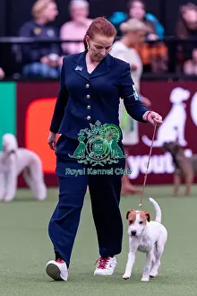 Drita Manson, from Ireland, with Bullet