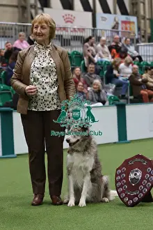 DTW Obedience Award Winner - Crufts 2026