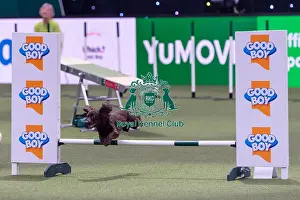 Small Championship Agility Final Prints: Dylan Osborne with Jelly, Competing in the Small Championship Agility Final