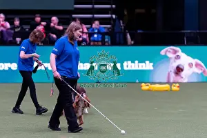 Good Citizen Dog Training Scheme Prints: Elizabeth Rawlinson with her dog River competing in Good Citizen Dog Training scheme display in the main arena