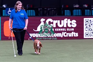 Good Citizen Dog Training Scheme Prints: Elizabeth Rawlinson with her dog River competing in Good Citizen Dog Training scheme display in the main arena