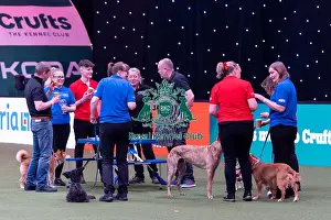 Elizabeth Rawlinson with her dog River competing in Good Citizen Dog Training scheme display in the main arena