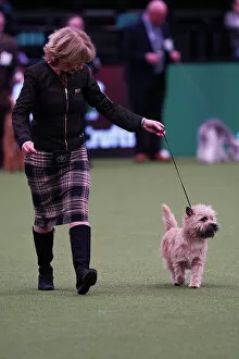 Official photos from Crufts 2023: Elizabeth Theodorson and Merril Schmitt from Canada with Danny, a Cairn Terrier