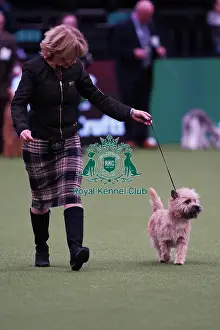 Elizabeth Theodorson and Merril Schmitt from Canada with Danny, a Cairn Terrier, which was the Best of Breed winner today (Saturday 11. 03. 23), the third day of Crufts 2023, at the NEC Birmingham