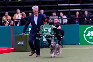 Pyrenean Sheepdog Long Haired Prints: Elon Flint from North Yorkshire with Tiggi
