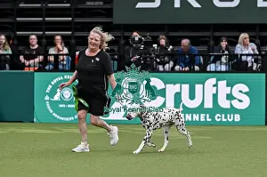 Dalmatian Prints: Erna Kuppers from Nederlands-Steen Bergen with Tissum