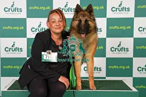 Belgian Shepherd Dog Tervueren Prints: Evette McDonald from Harrow with Sugar