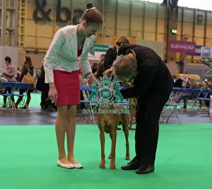 Examined by judge
