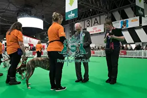 Examiner checking microchip during Good Citizen Bronze Award Display at Crufts on Friday 8th March 2024 Kennel Club Good Citizen ring