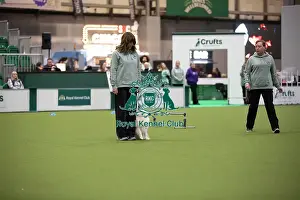 Obedience Ring Prints: Fiona and Bodhi- FCI Obedience Display