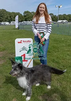 Prettiest Crossbreed Bitch Class Prints: First Place Owner Name Amber Sunday 15thn September 2024