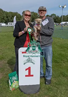 James Wellbeloved Prints: First Placed Golder Oldie Class Dog Name: Daisy