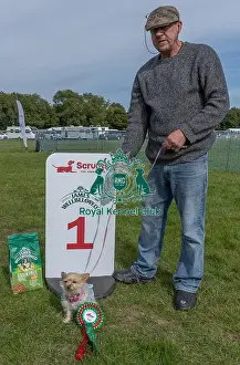 James Wellbeloved Prints: First Placed Golder Oldie Class Dog Name: Daisy