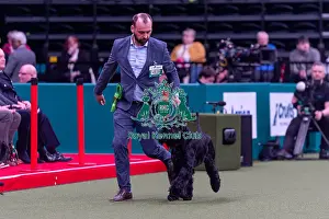 Giant Schnauzer Prints: Florence Vallet and Nicolas Taffu from France with Xia