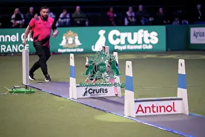 Flyball Prints: Flyball
