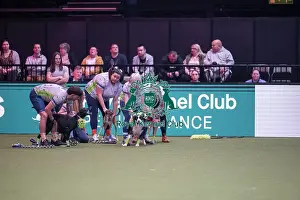 Crufts 2026 Main Arena Prints: Flyball