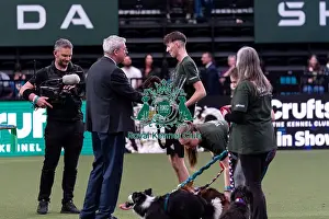 Flyball Prints: Flyball Competition winner, Dylan Osborne