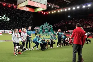 Flyball Crufts 2022
