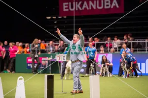 Flyball quarter final