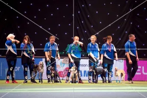 Flyball Semi final