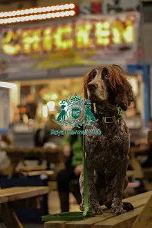 Family Prints: Food at Crufts