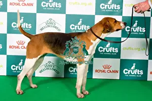 Foxhound BOB