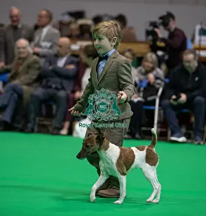 Terrier Group Prints: Freddie Osborne from Bobbington