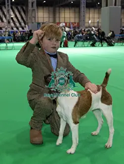 Crufts 2025 BeatMedia Prints: Freddie Osborne from Bobbington