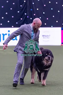 Best In Show Prints: Gabriele Stafuzza from Italy with Viking