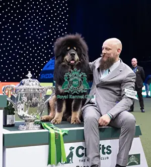 Best In Show Prints: Gabriele Stafuzza from Italy with Viking