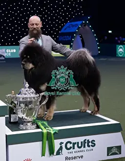 Best In Show Prints: Gabriele Stafuzza from Italy with Viking