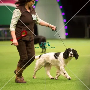 Gamekeepers Competition