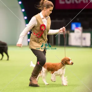 Gamekeepers Competition