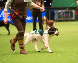 Gamekeepers Competition