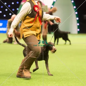 Gamekeepers Competition