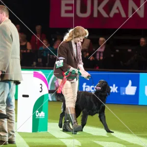 Gamekeepers Competition