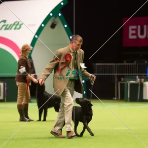 Gamekeepers Competition