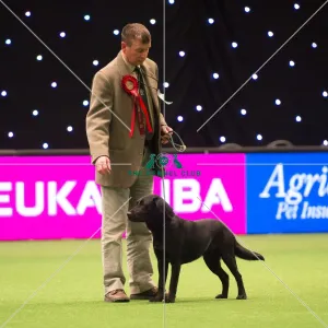 Gamekeepers Competition