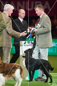 Gamekeepers Competition