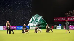 Gamekeepers Competition Final