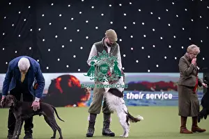 Crufts 2026 Main Arena Prints: Gamekeepers Competition Final