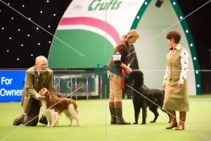 Gamekeepers Competition