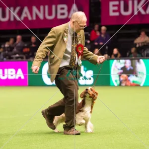Gamekeepers Competition